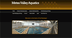 Desktop Screenshot of meteavalleyaquatics.com